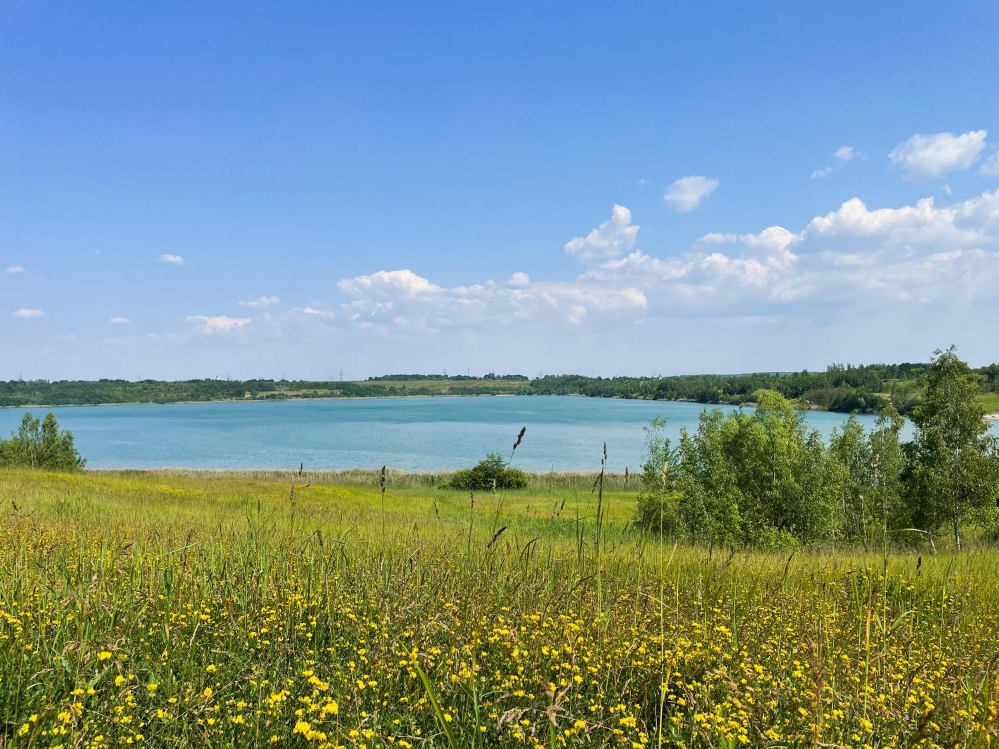 Haus Im Schilf 2 - Ferienwohnungen Am Hainer See Bei Leipzig Neukieritzsch Ngoại thất bức ảnh